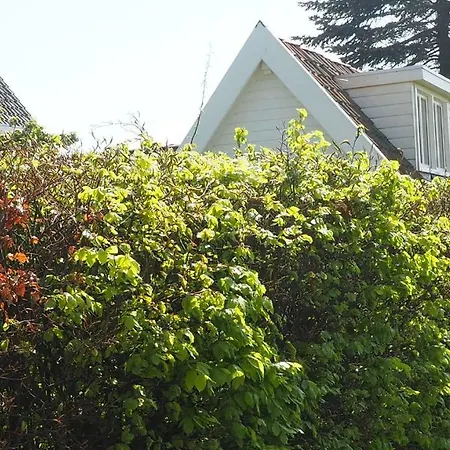 Guesthouse B&B Medemblik Гостевой дом Медемблик
