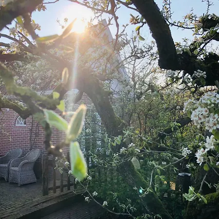 Guesthouse B&B Medemblik
