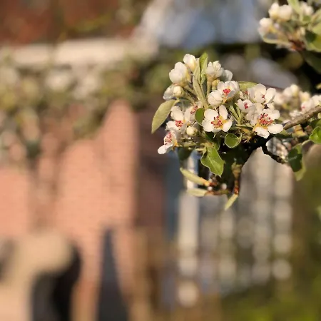 Guesthouse B&B Medemblik Гостевой дом *
